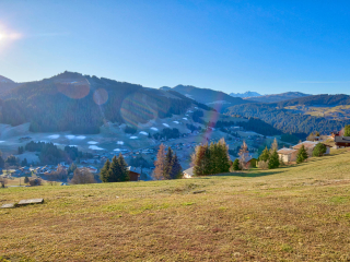 PERCE NEIGE
