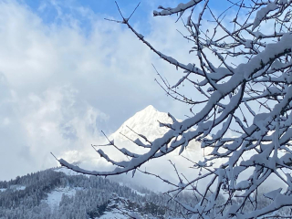 Les Vieilles Pâtures