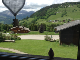 Les Chalets d'Heidi