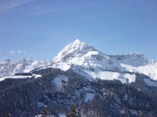 Chalet D, les Petits Tétras