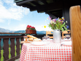 Superbe Chalet traditionnel l'Hermine