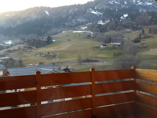 Chalet des Evettes, pieds des pistes, résidence EDELWEISS,