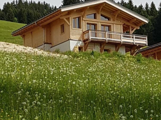 Chalet de charme en entier, ski au pied, été-hiver